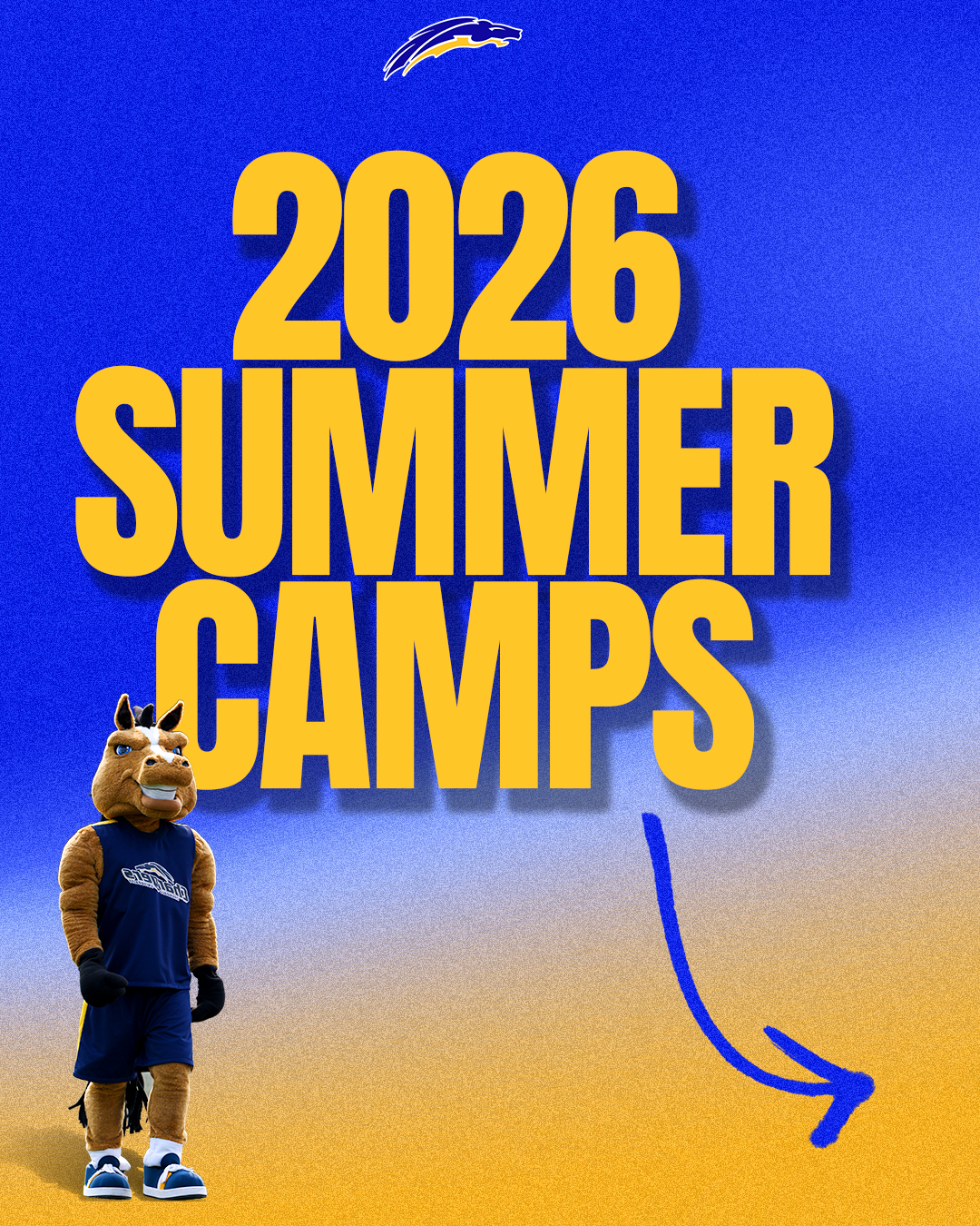 Summer Camps 2026