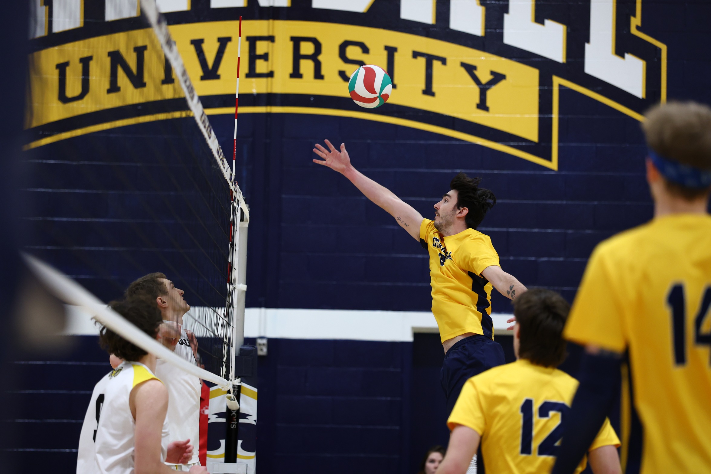 Chargers Fall to Holland in Straight Sets